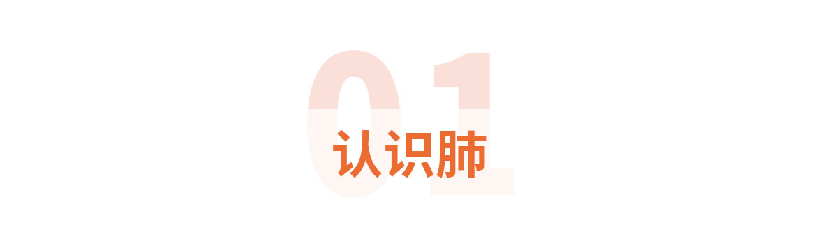配图标题1年轻化.jpg