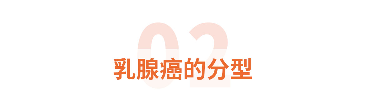 标题标题2乳腺癌的分型.jpg