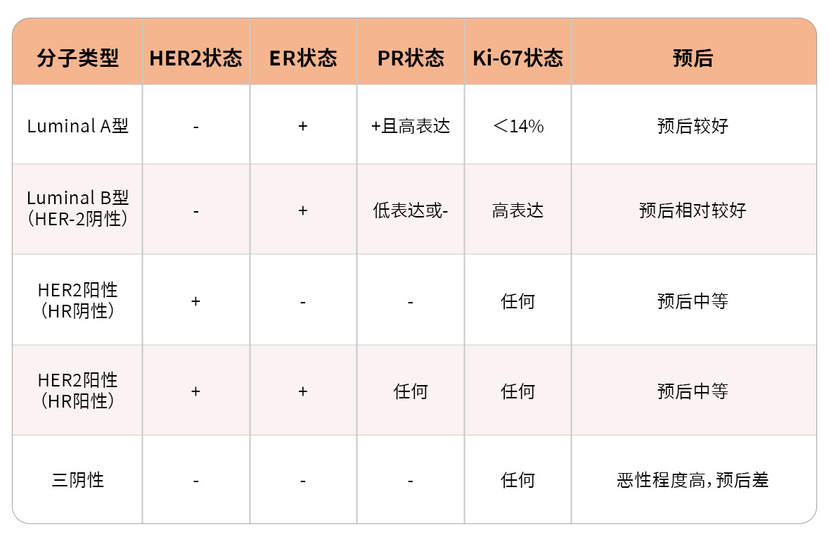 配图4乳腺癌分型.jpg