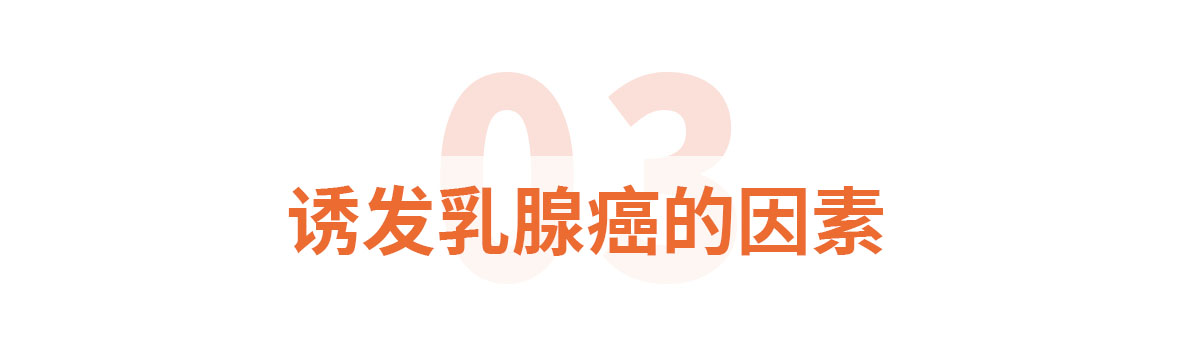 标题标题3诱发乳腺癌的因素.jpg