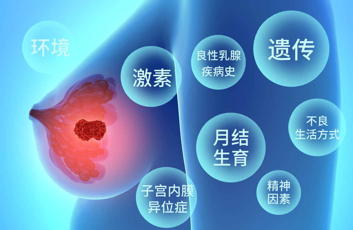 配图6因素.jpg