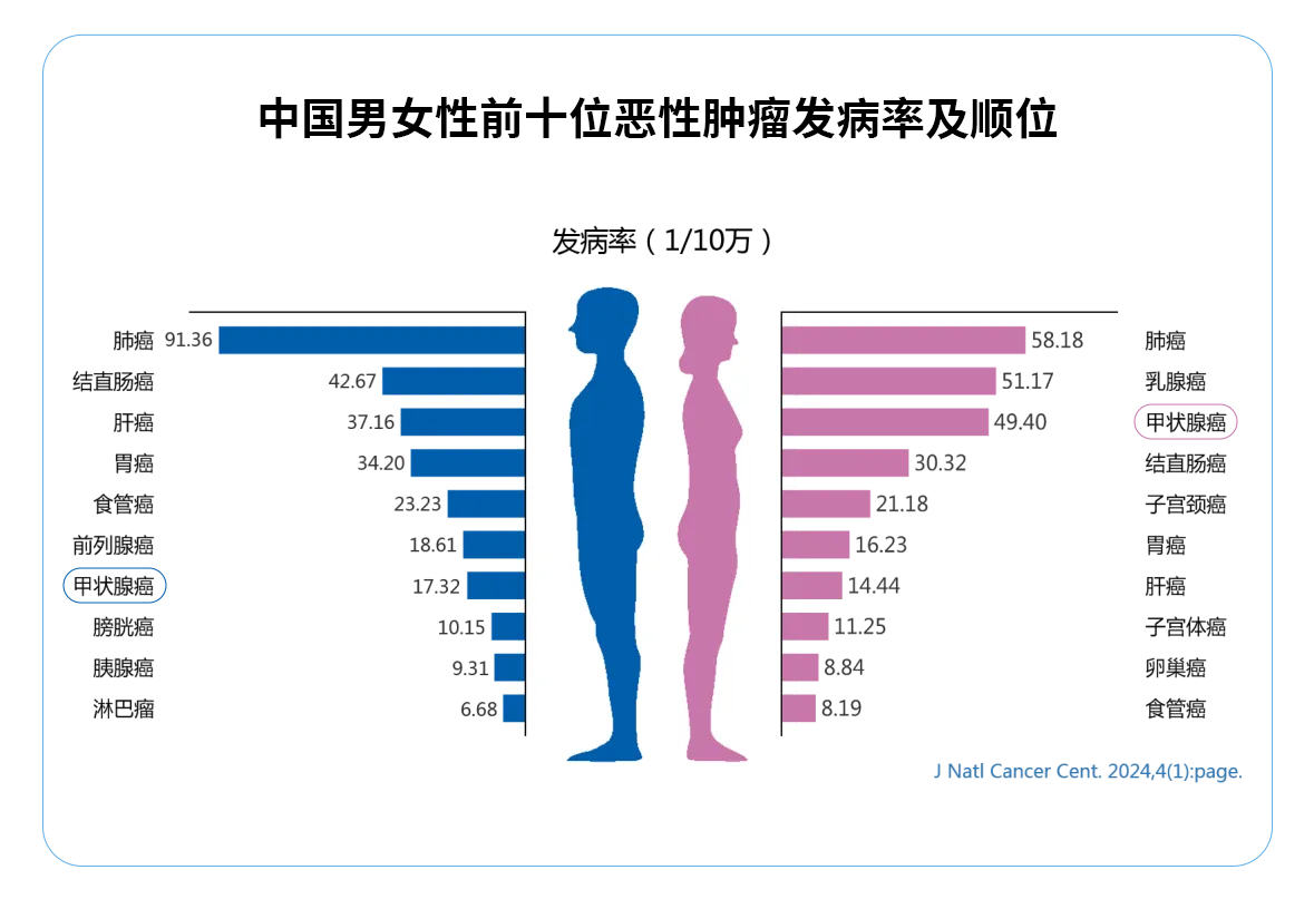 2世标发病.png