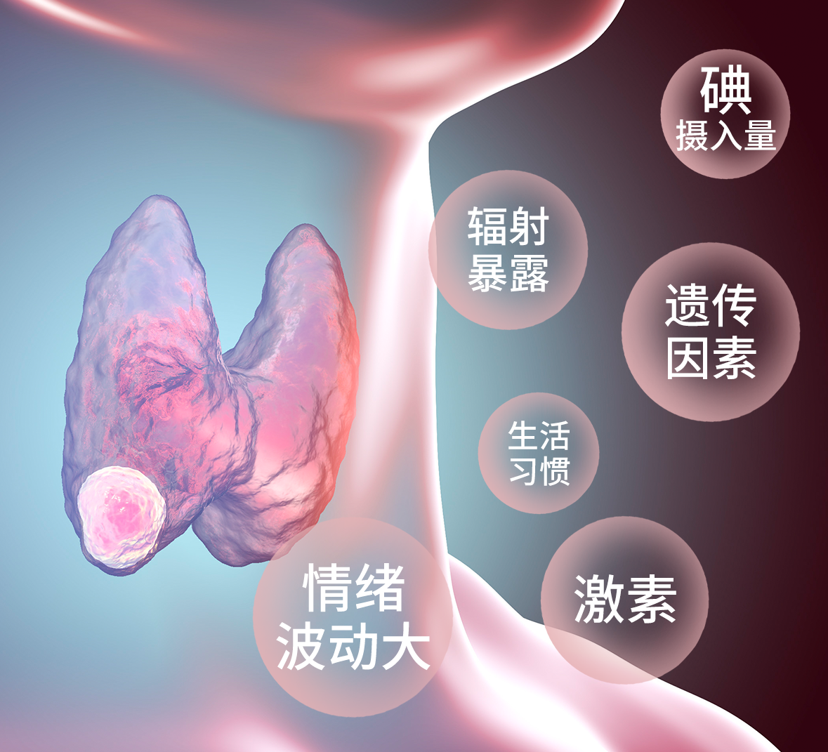 5因素.png